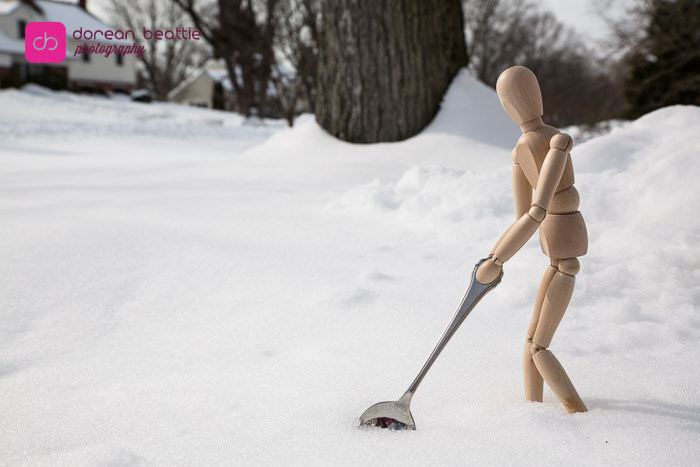 24151289913_a08948e2a5_b