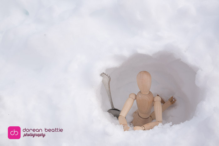 24525056100_4019fdf928_b