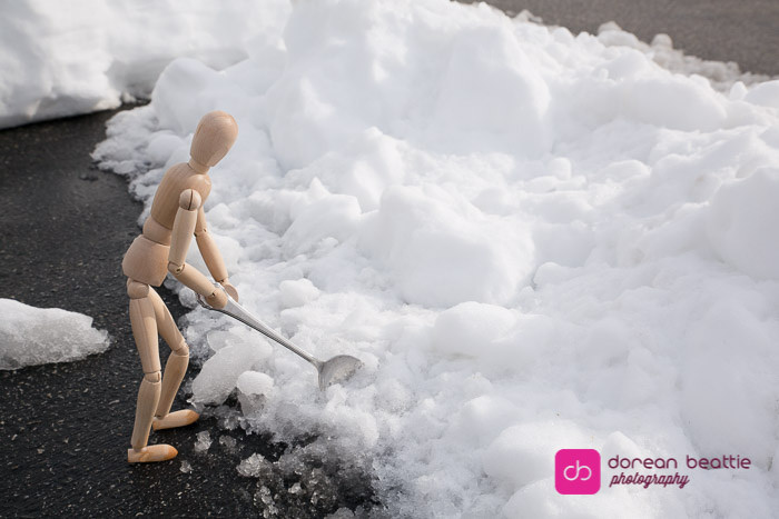 24684643841_b1a77d5d74_b