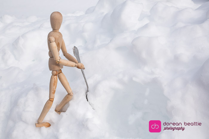 24702731152_29e0f69f10_b