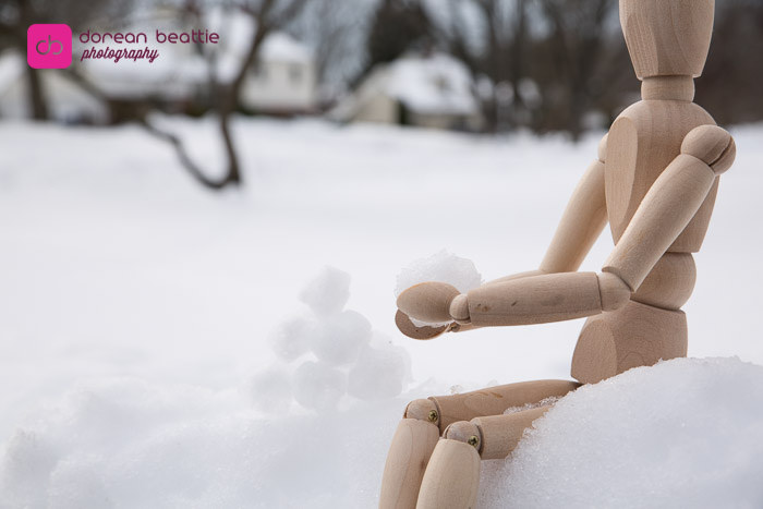 24874416436_a9e48a1807_b