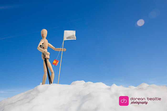 24890015641_6945003a5a_b