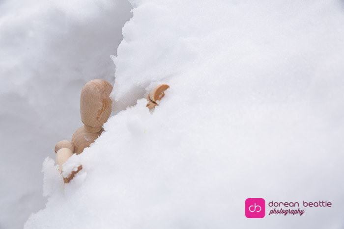 24975181906_7c4caa58e5_b