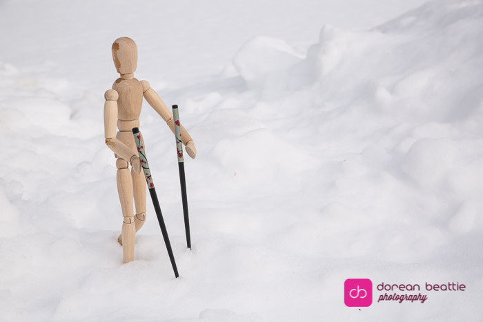 24975181986_70e2025b3e_b