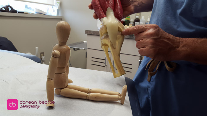 25095084976_d0abfba8c7_b