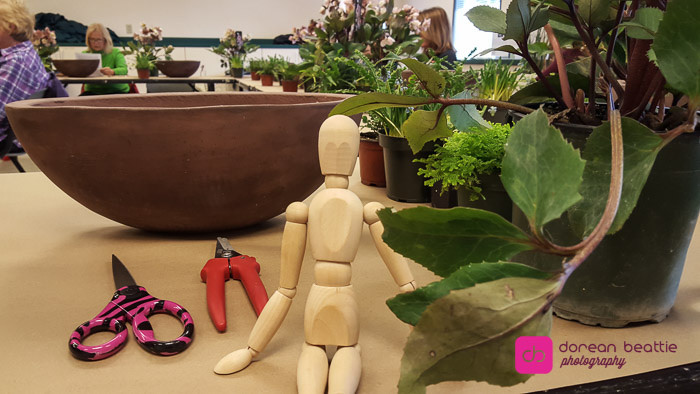 25422765814_0f8c496078_b