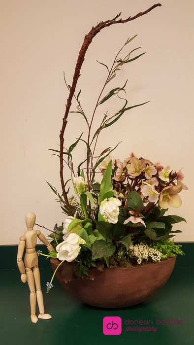 25754672510_f76631b5c6_b