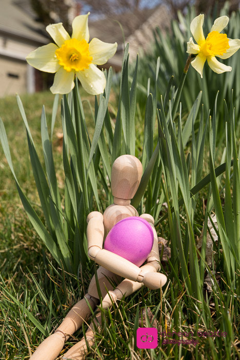 25847700500_fd350a6a2d_b