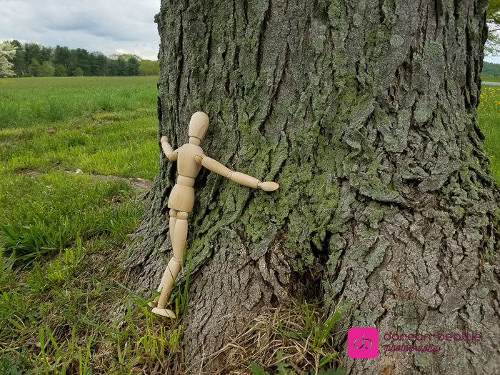 26821434341_40dae351c5_b