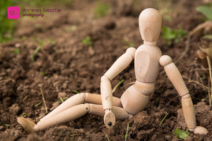 27110759853_069fea8aa3_b