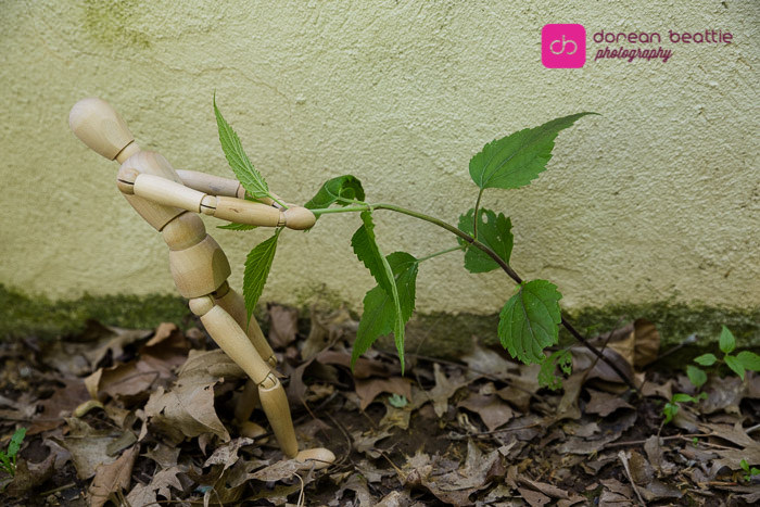 27687023026_cd8210dd7b_b